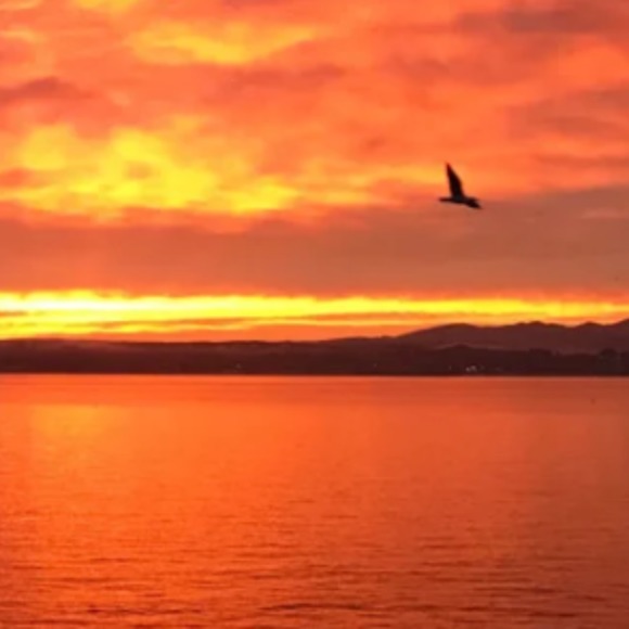 Meet the Posher Other - Meet your Posher, Michelle